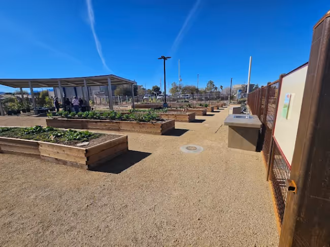 Pumpkin Park: Pick it Yourself Market Event Image