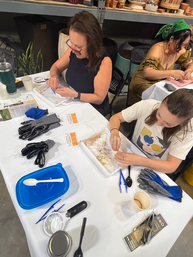 Seed Cleaning Workshop: Pollinators Event Image